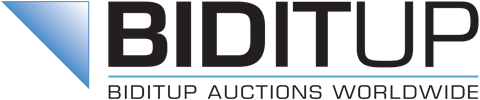 BidItUp Industrial Auctions